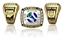 Picture of Major Plus World Champion Ring/Pendant w/World and Crossed Bats  - 14K White Gold